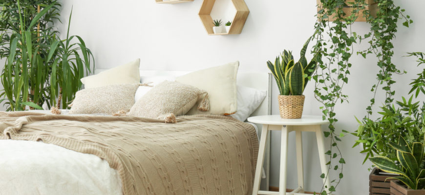 Stylish,Interior,Of,Bedroom,With,Green,Houseplants