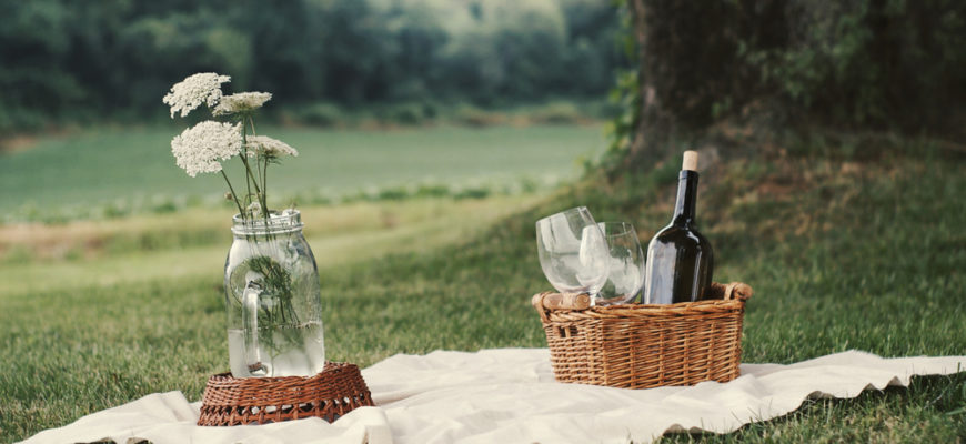 Picnic,Setup,Under,A,Maple,Tree